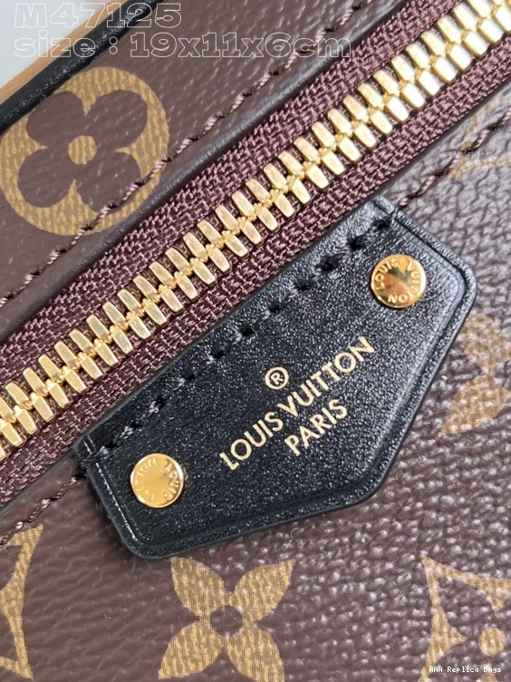Aaa replica bags 11.5 x 6.5 x CM Pouch-19 Vanity VUITTON Chain LOUIS 0809